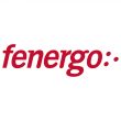 Fenergo